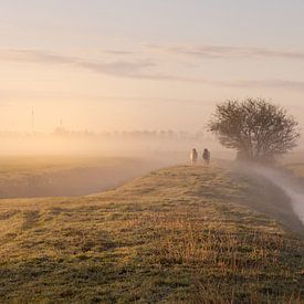 Twee pony's wandelen door de mist van Anneke Hooijer