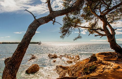 Paradijs: Île Saint-Marguerite in de Middellandse Zee