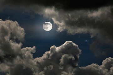 Volle maan van Corinne Welp