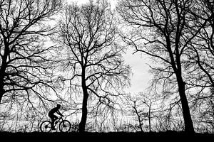 de eenzame fietser