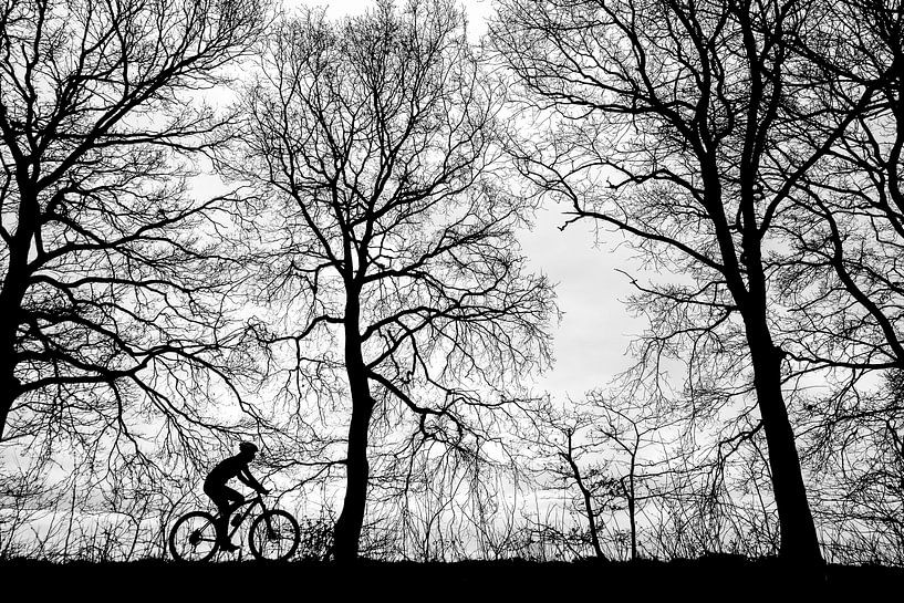 der einsame Radfahrer von jan van de ven