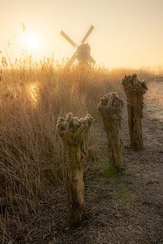 Klassiek Hollands winterlandschap met wilgen en een molen