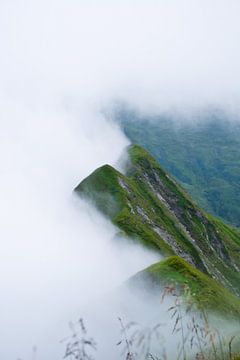 Nebel | Österreich von M.petersen I Fotografie