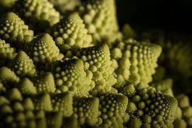 Macro Romanesco sur Marjolijn van den Berg