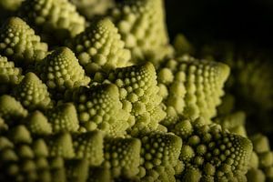Green: The fractals of a Romanesco
