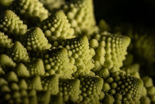 Groen: De fractals van een Romanesco