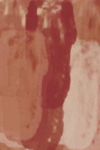 Fest. Abstracte kunst. Bruin, rood, roze, terra.