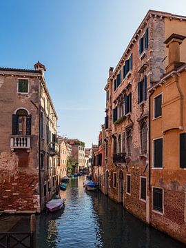 Uitzicht op historische gebouwen in Venetië, Italië van Rico Ködder