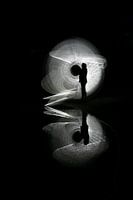Lightpainting