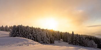 Prachtige avondsfeer in een besneeuwd landschap