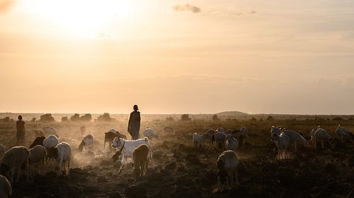 Kenia | White Mountain Movement 12