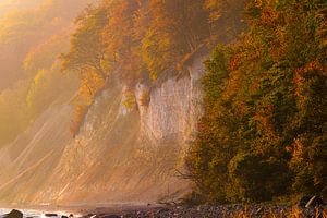 Kreideküste im Herbstlicht