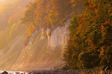 Kreideküste im Herbstlicht von Martin Wasilewski