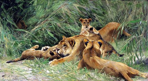 Spelende leeuwen, WILHELM KUHNERT, ca. 1917-1926