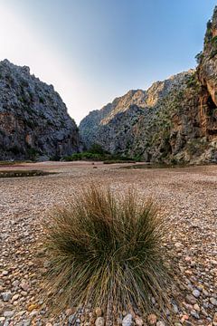 Torrent de Pareis auf Mallorca von Deimel Fotografie