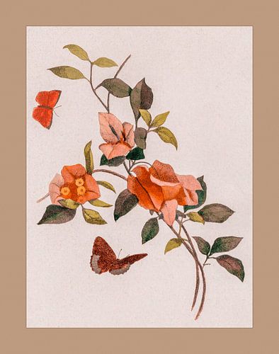 Vintage Botanische illustratie met oranje bloemen en vlinders