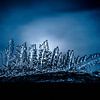 Les cristaux de glace, une merveille de la nature sur Jim De Sitter