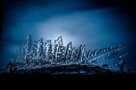 Eiskristalle, ein Wunder der Natur von Jim De Sitter Miniaturansicht