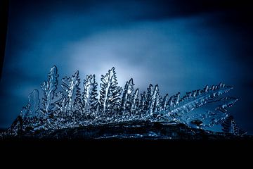 Eiskristalle, ein Wunder der Natur