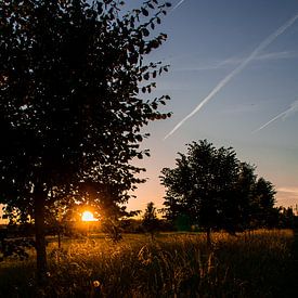 Golden hour in de Vlaamse Ardennen van Hanne Boullart