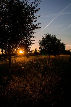 Goldene Stunde in den flämischen Ardennen von Hanne Boullart