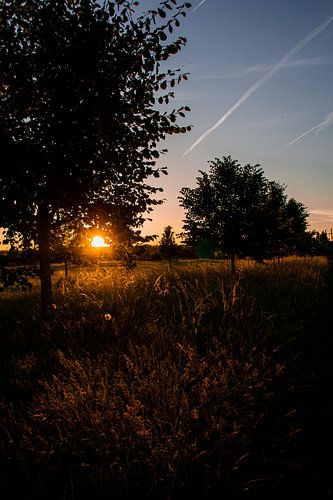 Goldene Stunde in den flämischen Ardennen