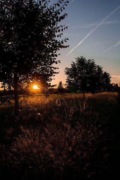 L'heure d'or dans les Ardennes flamandes par Hanne Boullart