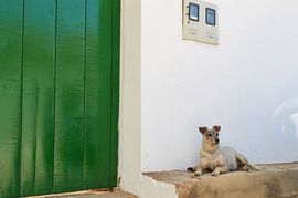 Relax in style by Zoe Vondenhoff