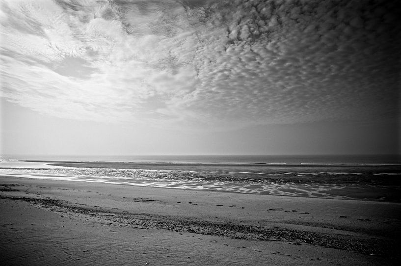 Strand Zuid-Holland van Saskia Staal