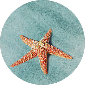 Starfish van Jacky