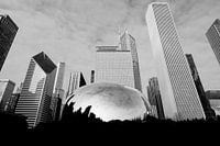 Chicago Skyline.