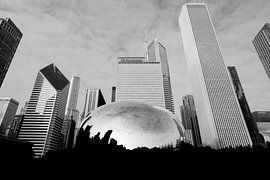 Chicago Skyline. van Rick Nederstigt