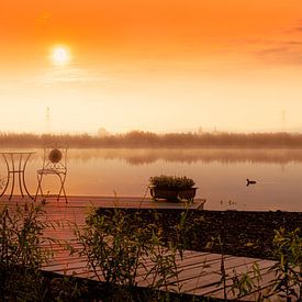 Summer thoughts by MZ! Photography