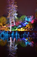 Reflection Gruga park lights