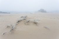 Hulshorsterzand