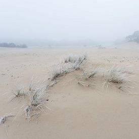 Hulshorsterzand by Theo Klos