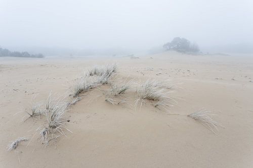 Hulshorsterzand sur Theo Klos