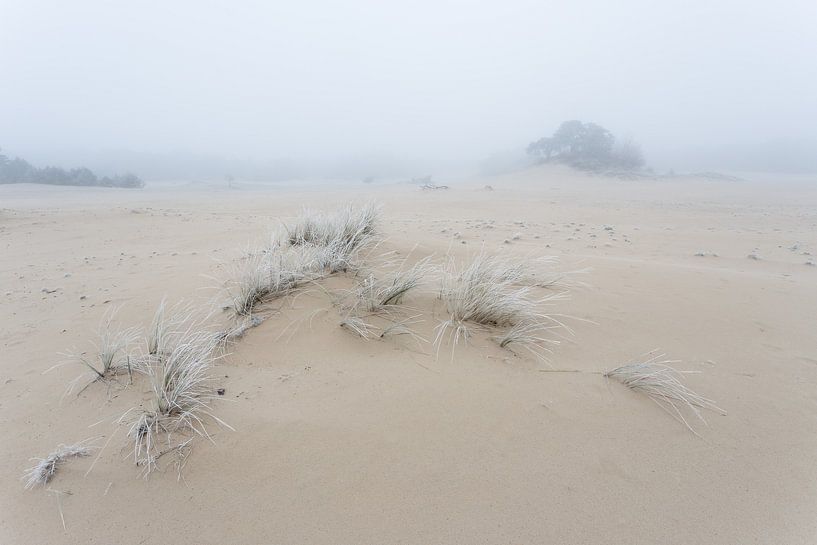 Hulshorsterzand van Theo Klos