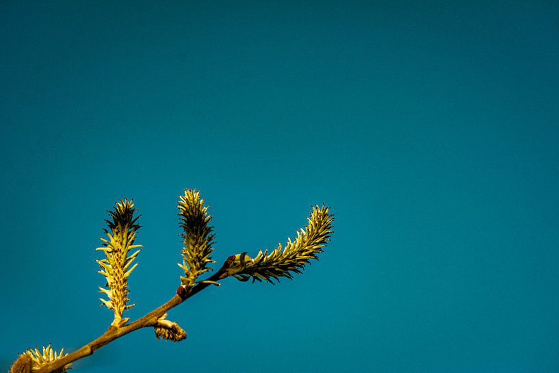 Nature in the Erzgebirge by Johnny Flash