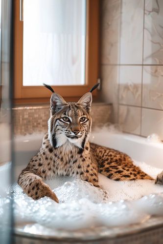 Relaxed Eurasian lynx in the bathtub - a fascinating work of bathroom art for your toilet