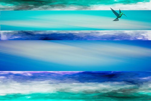 Hummingbird high in the air