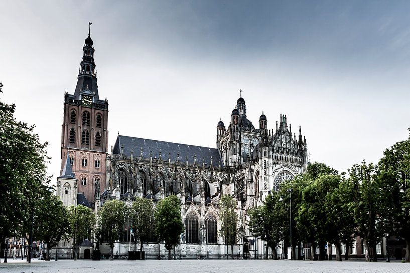 St. Johannes-Kathedrale 's-Hertogenbosch von Anne van Doorn