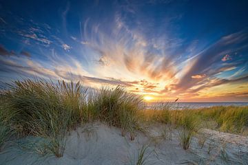 sunset in the Dutch dune landscape