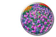 Kristallen bal met roze hyacinten op witte achtergrond van Ben Schonewille thumbnail