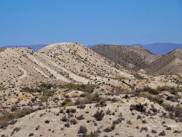 Tabernas woestijn in Spanje van Judith van Wijk
