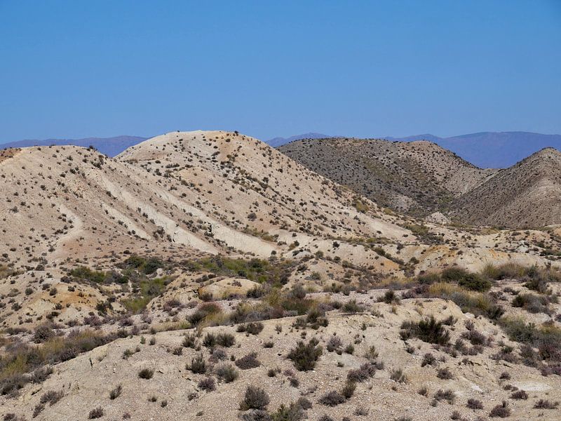Tabernas desert in Spain by Judith van Wijk