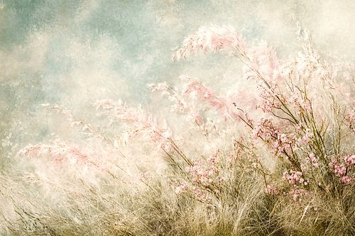 Zachte grassen en bloesem