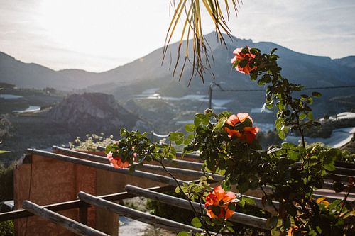 View mountains Spain, Bolulla roses
