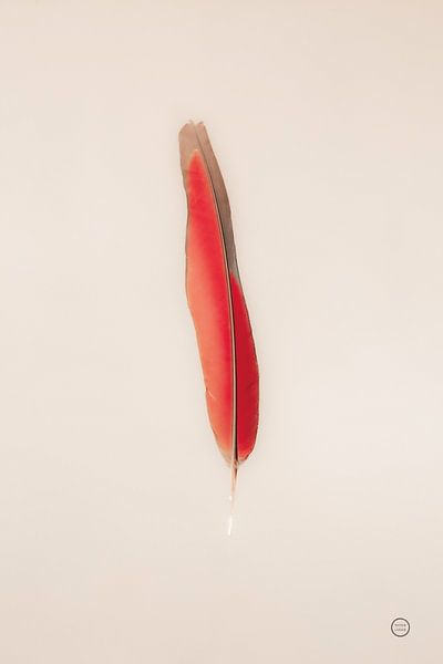 Floating Federn II, Nathan Larson von Wild Apple