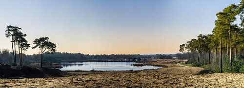 Die Kampina: Kugelfänger